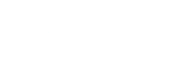 Governance Innovation